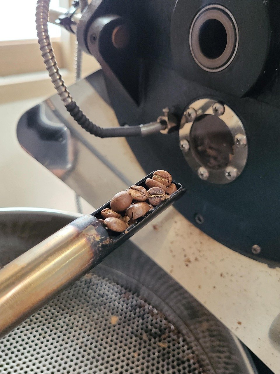 Berlin Craft Coffee Roasters, die man heute besuchen sollte